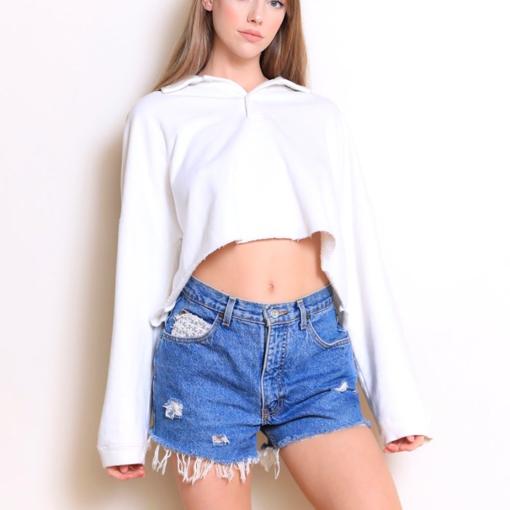 Brandy Melville Long Sleeve Crop Top